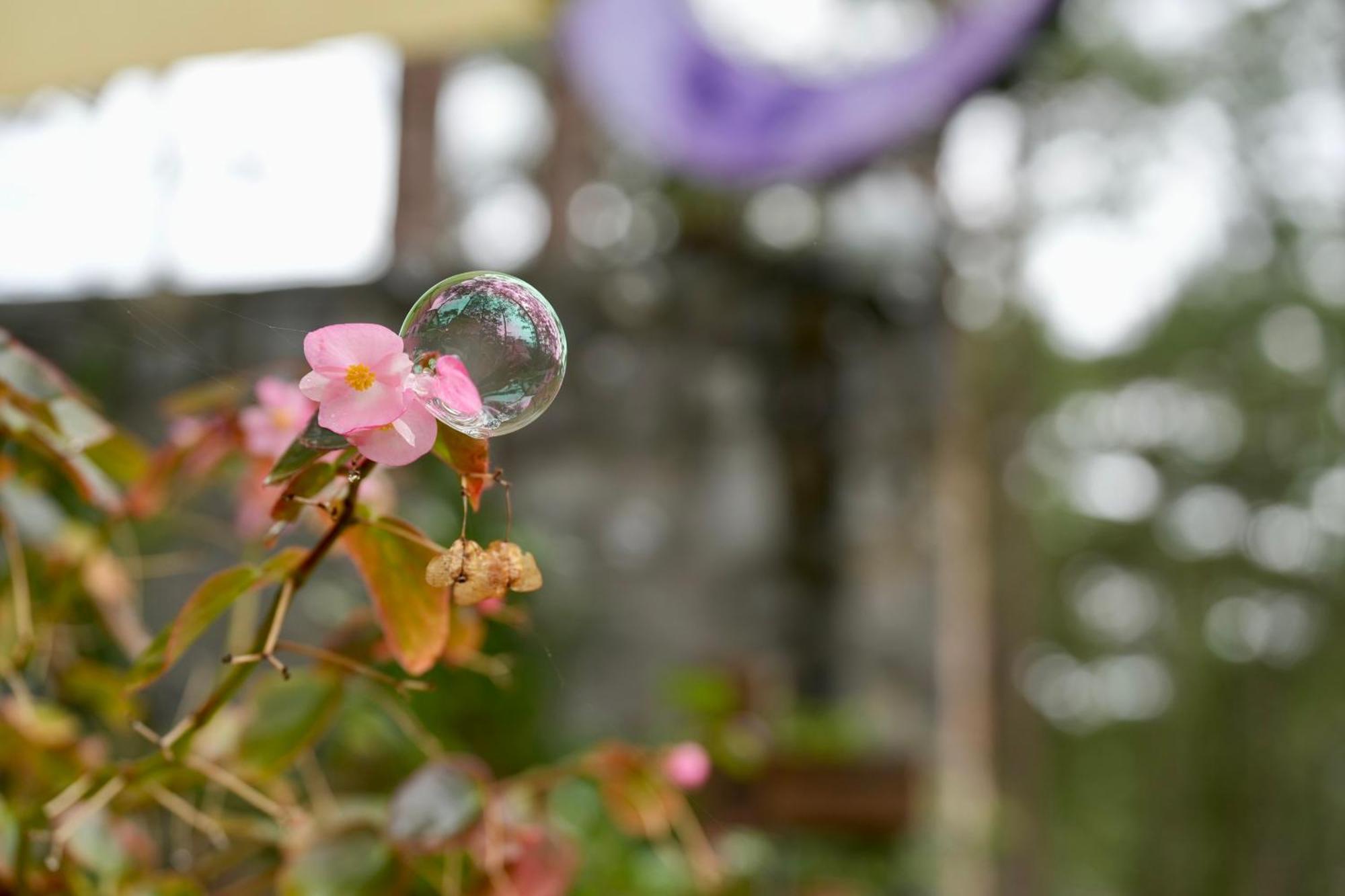 De Vivre Homestay Mang Den Kon Von Kla Buitenkant foto